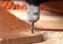 cat_drilling_into_wood